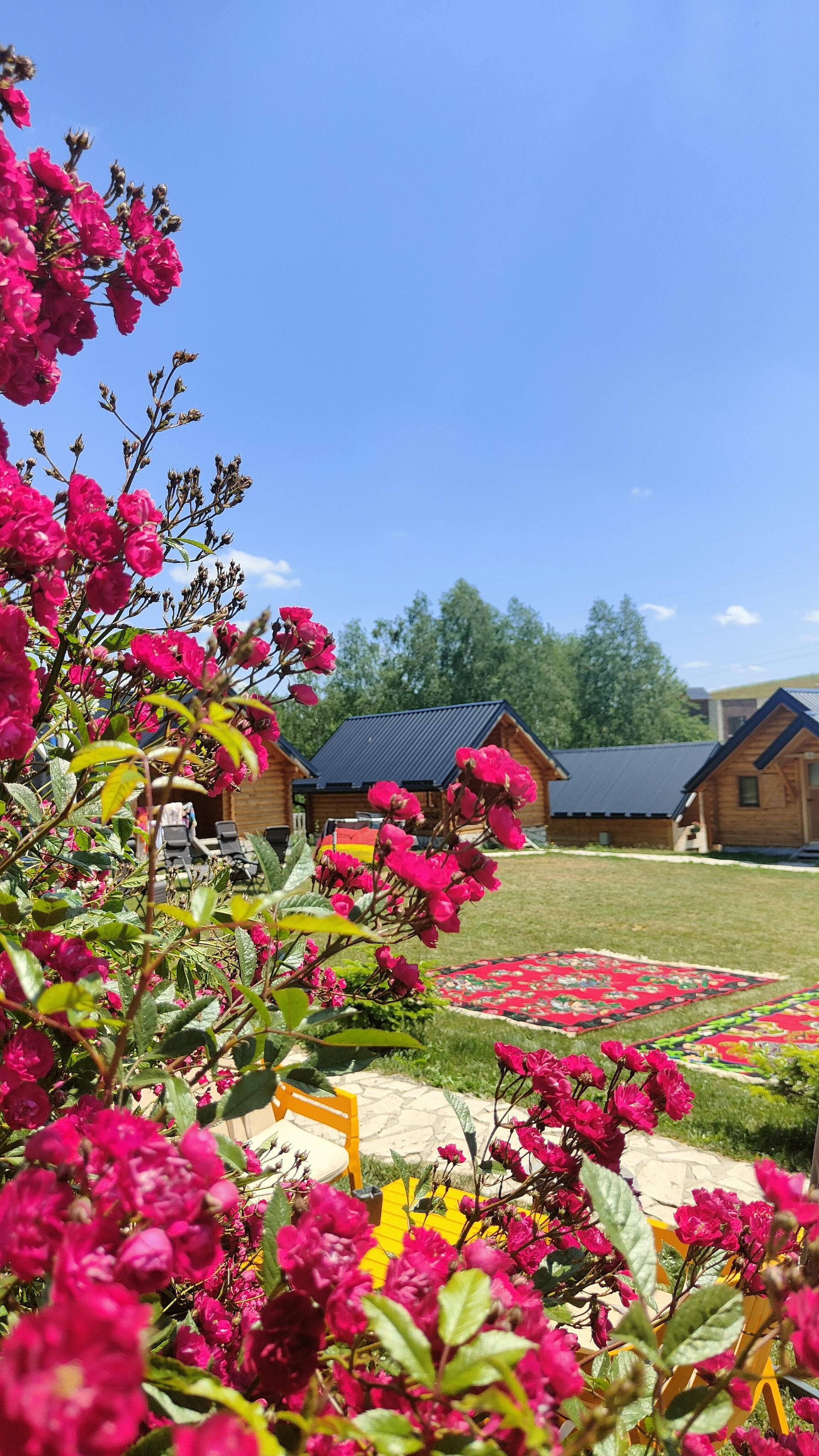 Cvetovi i drvene brvnare u Etno selu Vidikovac, mirno mesto za odmor u blizini Specijalnog rezervata prirode Uvac.